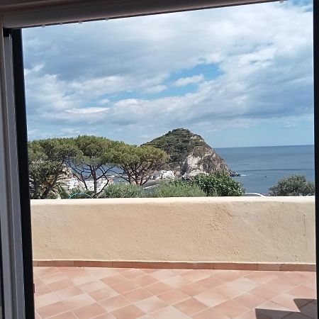 Parco Termale Tropical Panzió Ischia Island Kültér fotó